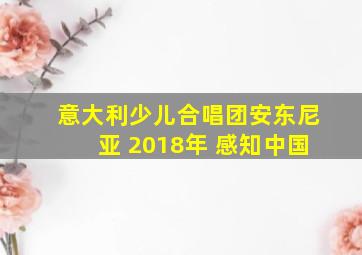 意大利少儿合唱团安东尼亚 2018年 感知中国